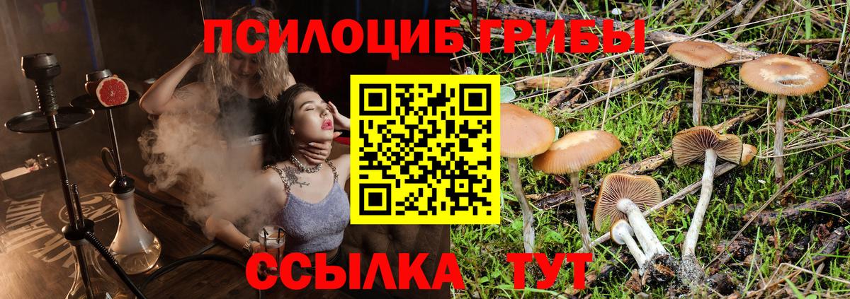 Галлюциногенные грибы Cubensis Избербаш
